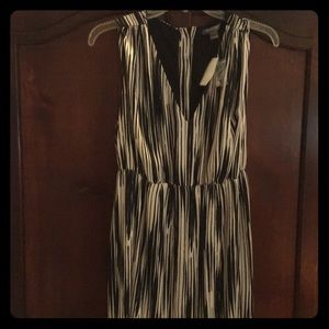 Nwt pea in the pod long dress